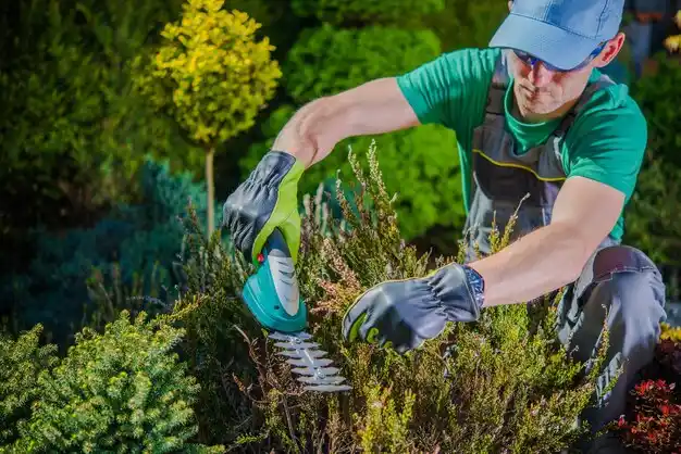 landscaping services Hewlett Neck